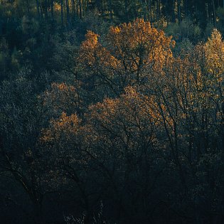 Krajina